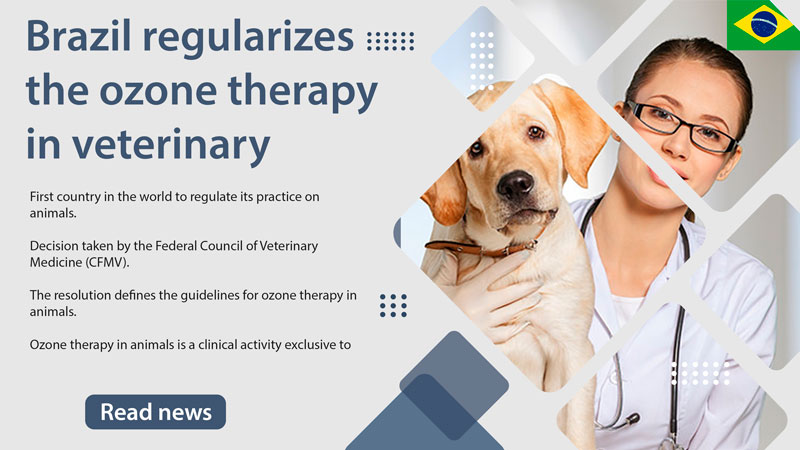 Brazil regularizes the ozone therapy in veterinary